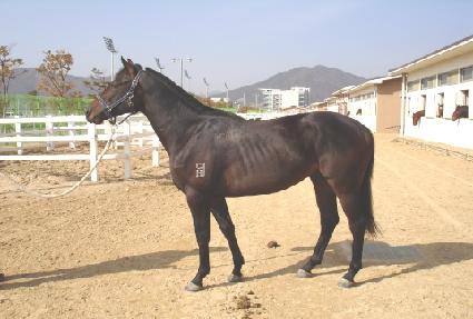 ���丮 ����