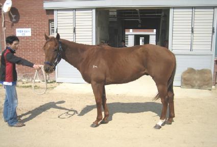 ������� ����