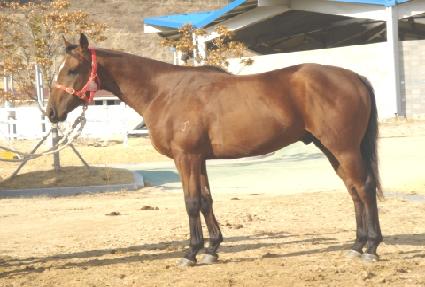 ���� ����