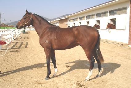 Ÿ�̵鼭�� ����