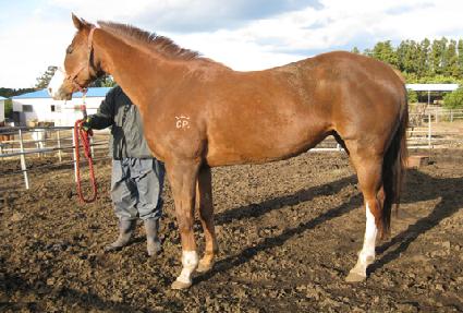 ū�ƾ� ����