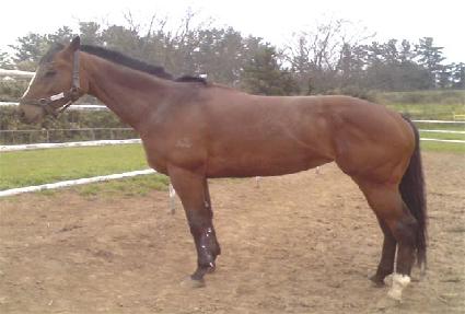 �������� ����