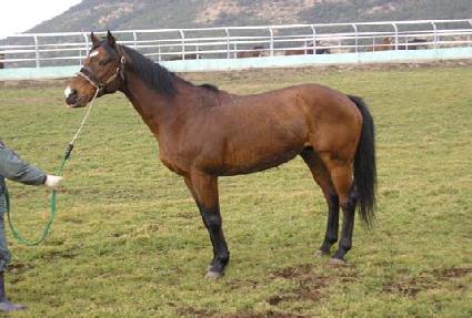 �����Ǵ��� ����