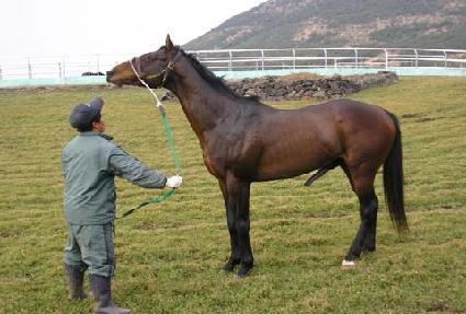 Ʈ��Ʈ��Ÿ ����