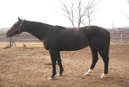 ĳ���н��ҵ� ����