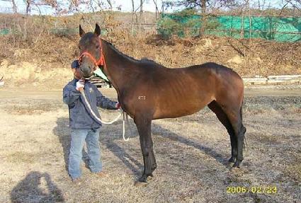 ��Ű����Ʈ ����