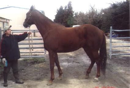 Ų�ۼ��� ����