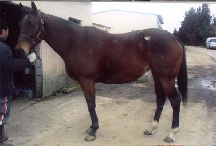 ��ŵ���̽��� ����