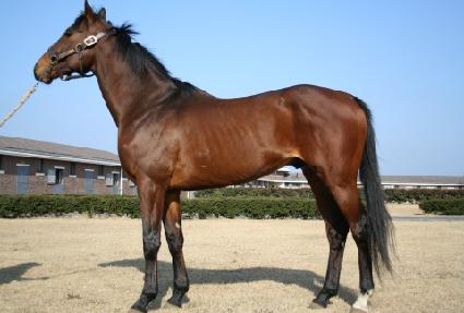 ������ ����