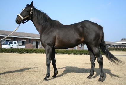 ��Ű���� ����