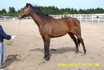 �̴����� (MINNIE HA HA) ����