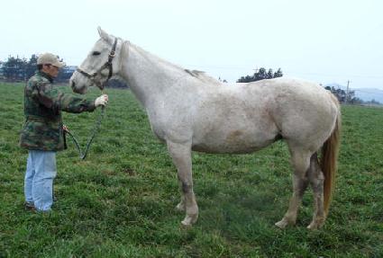 ���۹��м� ����