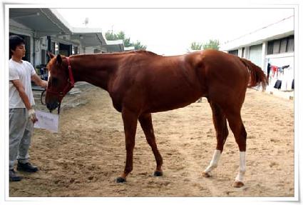 �븮�긮 ����