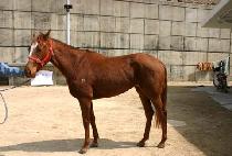 �������� (NAMDOJEIL) ����