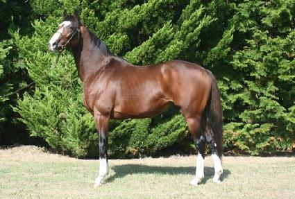 ���ĵ� ����