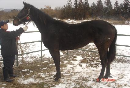 ����Ÿ�̰� ����