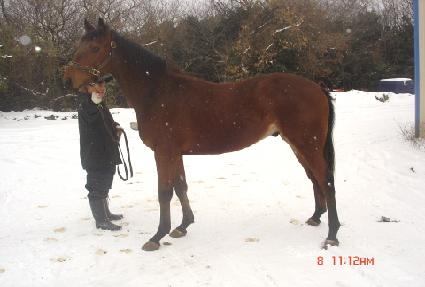 ��ó ����