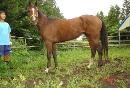 �þ�ٿ���帲 ����