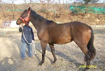 �ָ��Ž� (MALICIOUS) ����