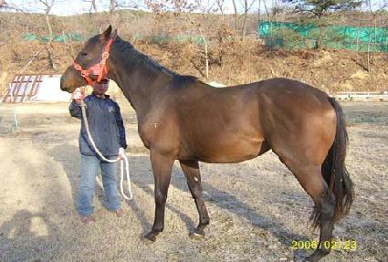 �ָ��Ž� ����