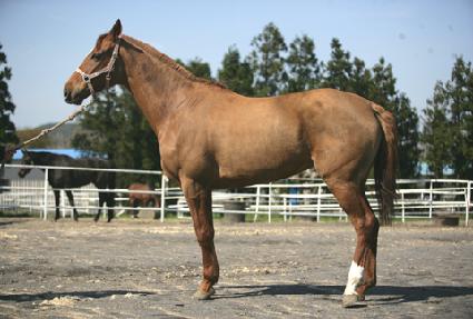 ������ ����