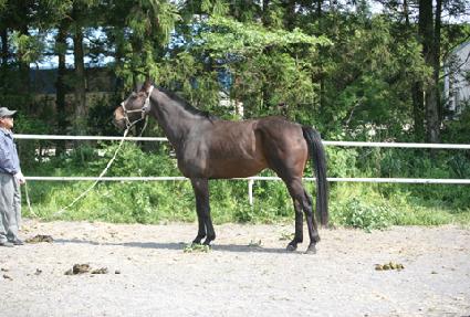 ����Ÿ�� ����