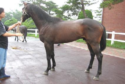 ž�� ����