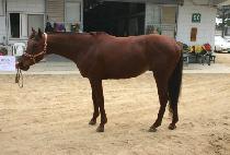 ���Ŀ�� (MORNING COFFEE) ����