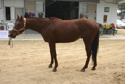 ���Ŀ�� ����