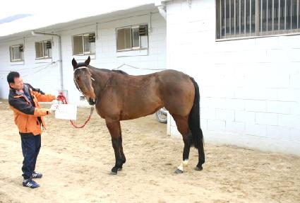 �̺��Ŀ�� ����