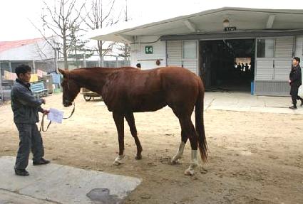 Ŀ������ö��̾� ����