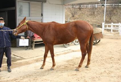 �������� ����