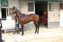 �븮���ͽ�ü���� (VALID EXCHANGE) ����