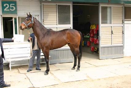 �븮���ͽ�ü���� ����