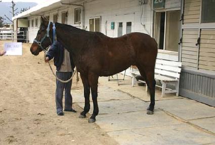 ���͵��� ����