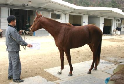 ���⵹�� ����