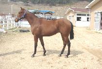 �ϴ��Ǽ��� (HANEURUI SEONMUL) ����