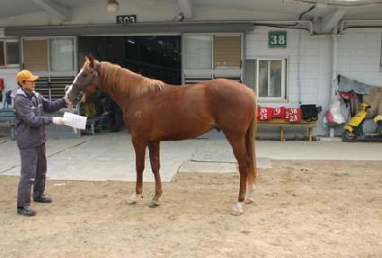 �����ڶ� ����