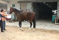 ����� (HAENGUN DAEWANG) ����