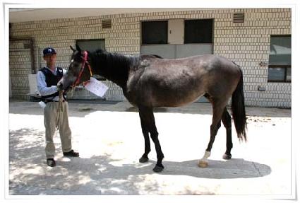 ���̾�Ͼ��� ����