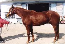 ����ƾ���� (MOUNTAIN BLUE) ����