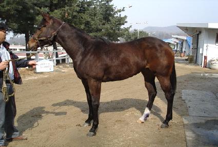 ���׺���Ͻ� ����