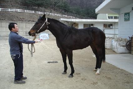 ������������ ����