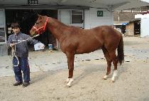 ���͸Ӵ� (DR.MONEY) ����