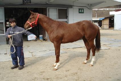 ���͸Ӵ� ����