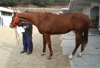 ��ĳ������ ����