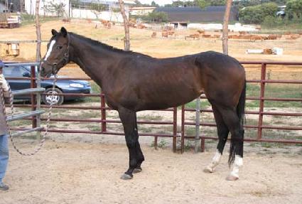 ���躧�� ����