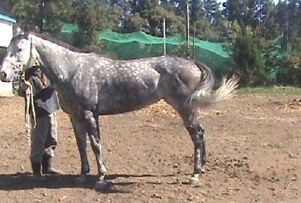 ������÷��� ����