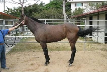 ��������� ����