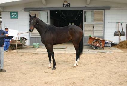 ���ٴ���� ����